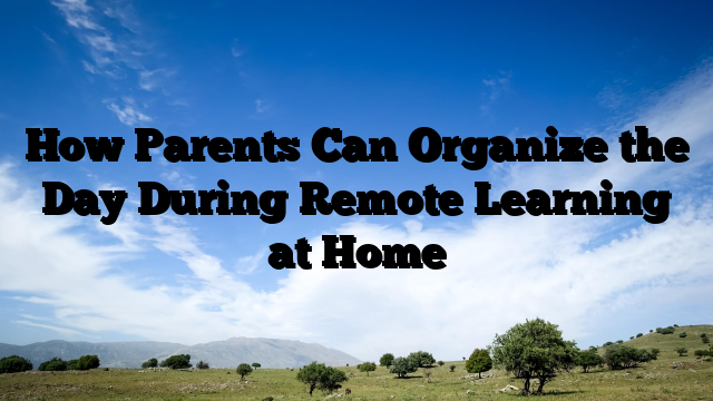 How Parents Can Organize the Day During Remote Learning at Home