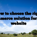 How to choose the right ecommerce solution for your website