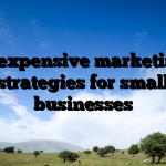 Inexpensive marketing strategies for small businesses