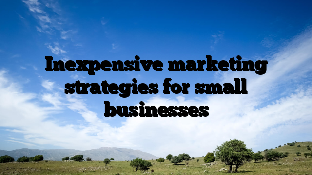 Inexpensive marketing strategies for small businesses