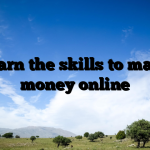 Learn the skills to make money online