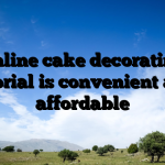 Online cake decorating tutorial is convenient and affordable