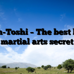 Shin-Toshi – The best kept martial arts secret