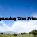 Spanning Tree Primer