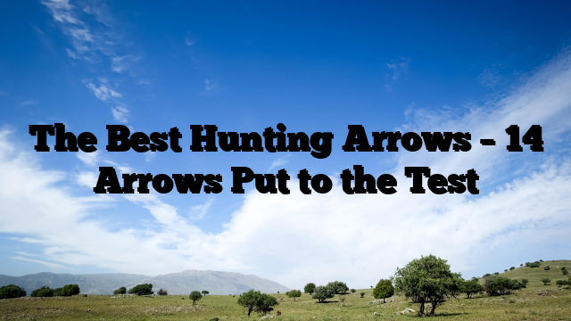 The Best Hunting Arrows – 14 Arrows Put to the Test