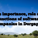 The importance, role and functions of software companies in Durgapur