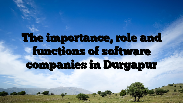 The importance, role and functions of software companies in Durgapur