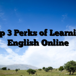 Top 3 Perks of Learning English Online