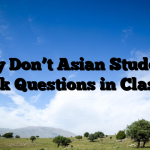 Why Don’t Asian Students Ask Questions in Class?